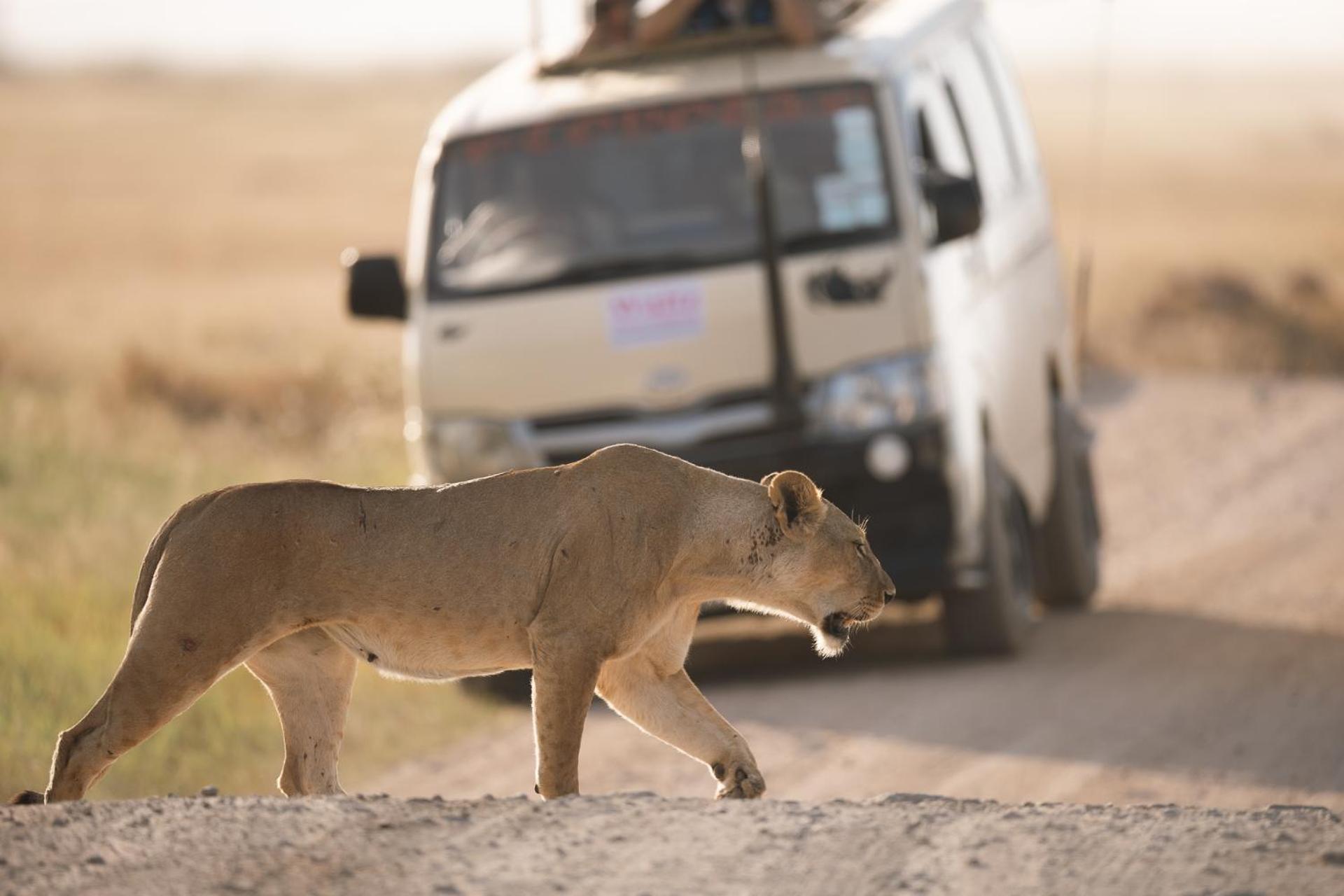 Amboseli Glass House Oloitokitok ภายนอก รูปภาพ