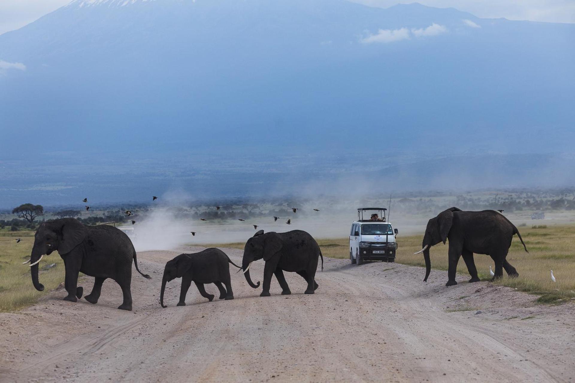 Amboseli Glass House Oloitokitok ภายนอก รูปภาพ