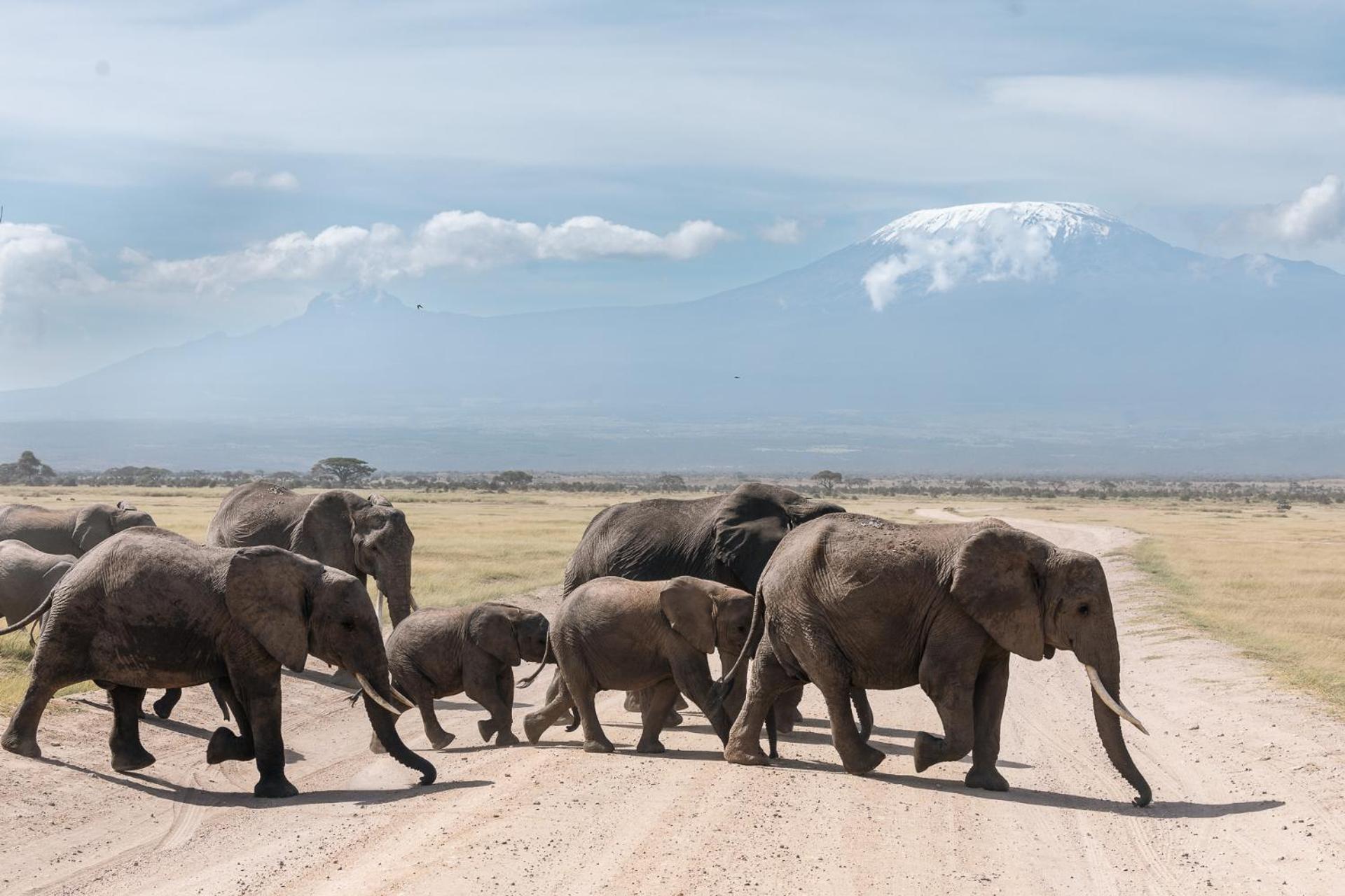 Amboseli Glass House Oloitokitok ภายนอก รูปภาพ